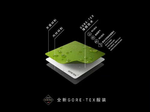 熄滅城市燈火,點亮自然之光