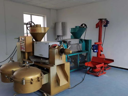 電子商務助力脫貧攻堅